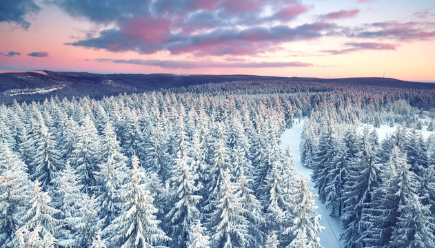 Rennsteig im Winter - Thüringer Wald