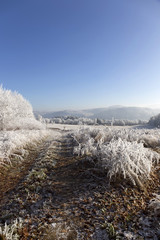 Beautiful fairytale snowy winter countryside with blue Sky in Central Bohemia, Czech Republic