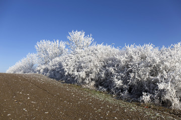 Beautiful fairytale snowy winter countryside with blue Sky in Central Bohemia, Czech Republic