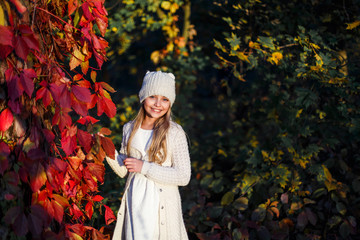 A portrait  of a pretty girl, outdoor shooting in the park at sunset. 