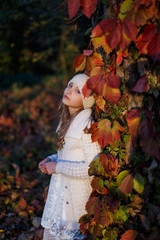 A portrait  of a pretty girl, outdoor shooting in the park at sunset. A girl leaning over the tree