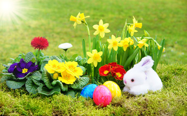 Ostern, Easter, Frühlingsblumen mit Ostereiern, Osterhase und Sonne, Textraum, Copy space