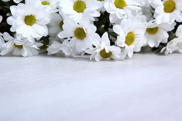 Białe kwiaty w dowód miłości - obrazy, fototapety, plakaty