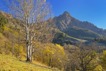 Fototapeta premium Autumn in mountains