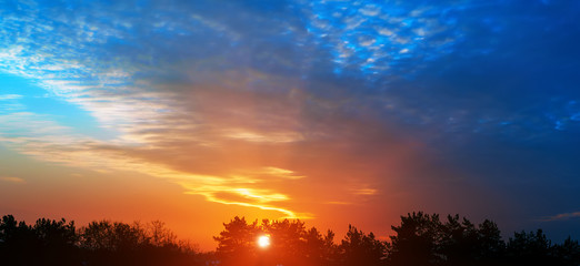 Beautiful northern sunset glow over the forest.