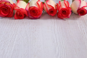 Róże dla romatycznych - obrazy, fototapety, plakaty