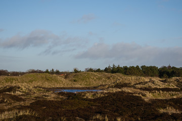 Winterliche D&uuml;nenlandschaft