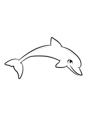 Delfin sweet sweet jump