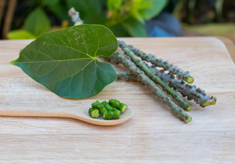 Tinospora crispa,heart leaved moonseed on wooden board