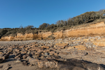 Petites falaises sur la pointe du Payré (Vendée, France)