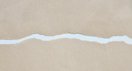 Ripped paper space for copy.