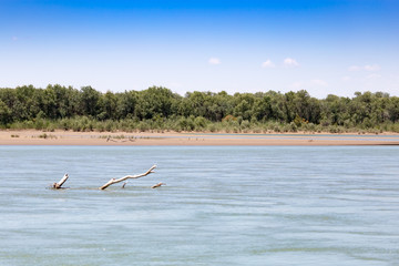 Beautiful nature on the river Syr Darya. Kazakhstan