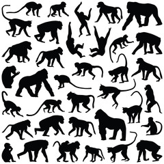 Ape and Monkey collection - vector silhouette © Hein Nouwens