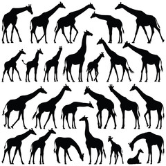 Giraffe collection - vector silhouette © Hein Nouwens