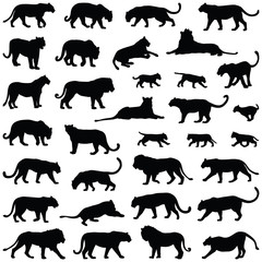 Big cat collection - vector silhouette