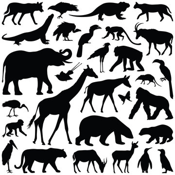 Zoo animals collection - vector silhouette