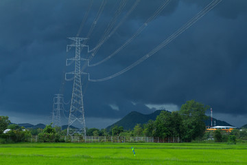 green rice field with heavy strom background