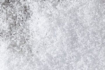 snow as a backdrop. macro