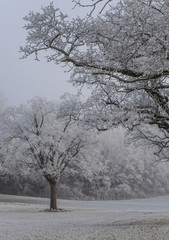 Winter Landschaft