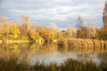 Fototapeta na wymiar Landscape in Germany, autumn, trees and bushes near lake