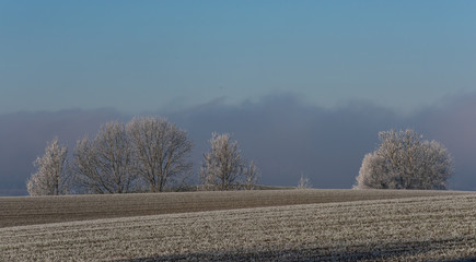 Obraz na płótnie Canvas Winter Landschaft