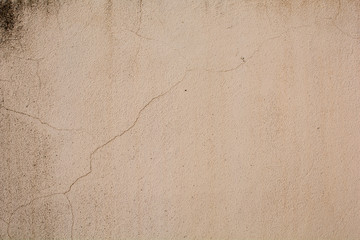 cement wall