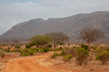 Landscape of Kenya, red soil and trees and hills in the savannah