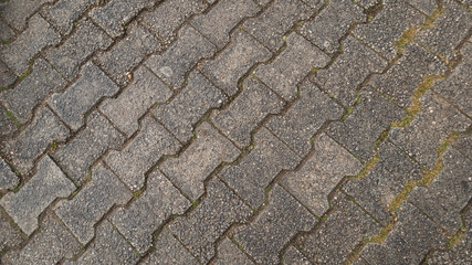 Worm Floor texture background.