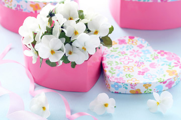 Bouquet of beautiful white viola flowers in a heartshape gift box