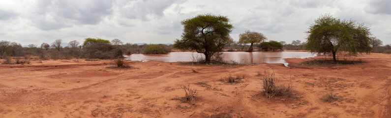 Landscape Kenya, on safari