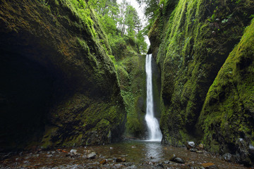 Lower falls in Oneonta Gorge. Columbia River Gorge