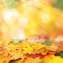 Naklejka na ściany i meble Beautiful Autumn background