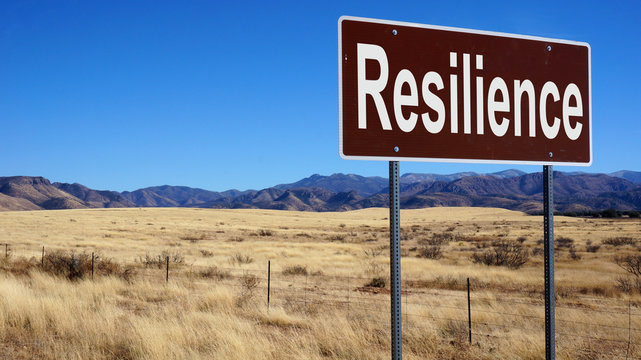 Resilience brown road sign