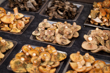 Boletus, Chanterelle in a street market. Vic, Catalonia, Spain.