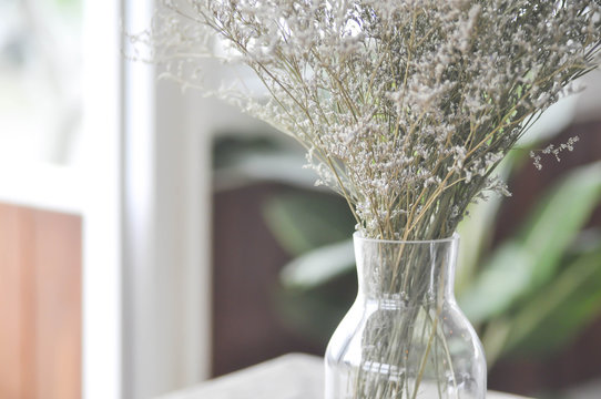 purple caspia flowers in vase or caspia flower