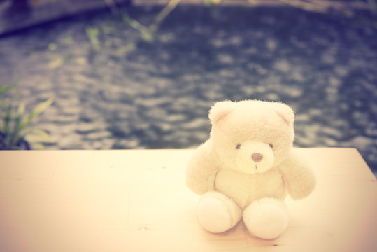 Cute teddy bear sit alone on wooden floor with pool background,r