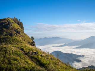 morning mountain view with sunbeam and haze at Doi Pha Tang, chiang rai, thailand..