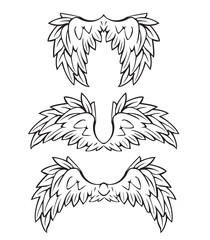 Wings Vector and illustration