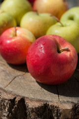 Apples on a wood