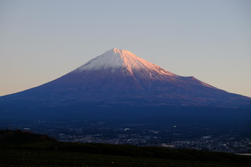 富士山
