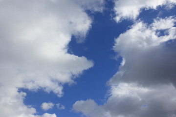 雲