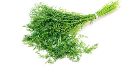 fresh dill