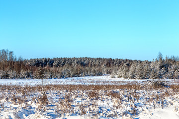 Зимний пейзаж