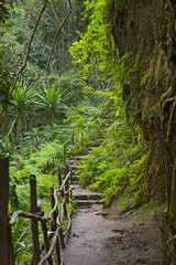 Karura Forest Trail in Nairobi, Kenya