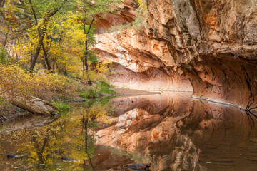 West Fork Oak Creek Fall  Reflection