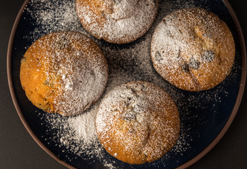 Chocolate muffins with powdered sugar on dark blue plate. Top view.