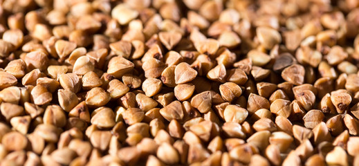 buckwheat as background