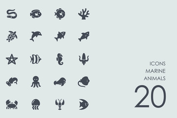 Set of marine animals icons - obrazy, fototapety, plakaty