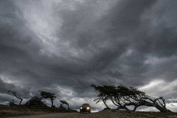 Trees deformed by wind and a car on Tierra del Fuego, Patagonia, Argentina