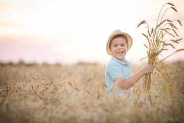 Portrait of cute kid boy in straw hat walking in the golden wheat field on sunny summer day. Smiling child with ears of wheat  on a meadow. Lifestyle concept